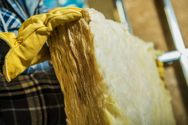 Best Geographic-Specific Insulation Services in Carleton, MI