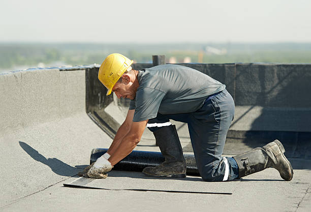 Best Cellulose Insulation in Carleton, MI
