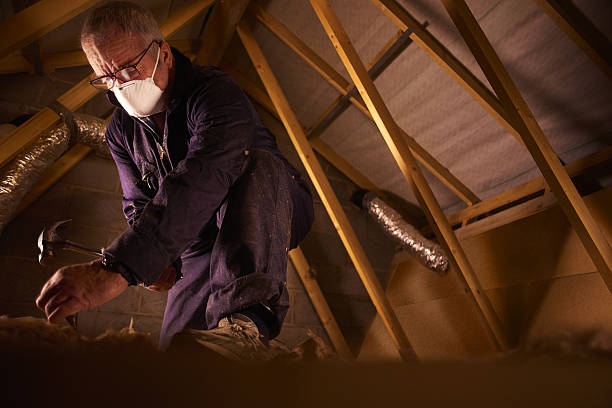 Best Blown-in Insulation in Carleton, MI