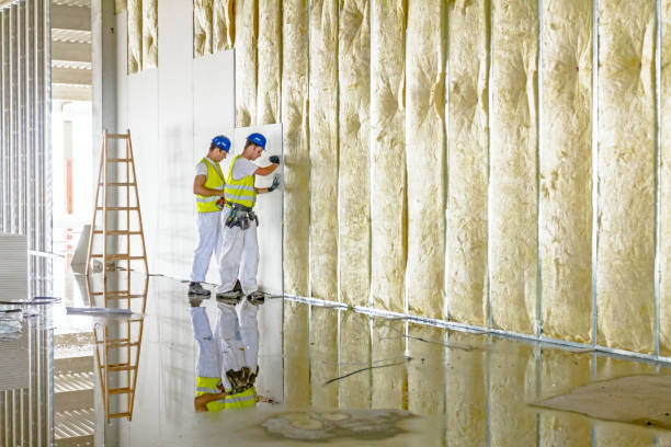 Best Energy Efficiency Insulation in Carleton, MI